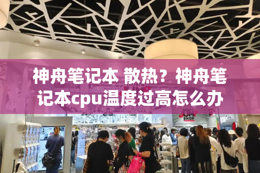 神舟笔记本 散热？神舟笔记本cpu温度过高怎么办-第1张图片-星选测评