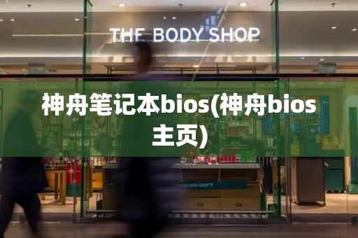 神舟笔记本bios(神舟bios主页)-第1张图片-星选测评