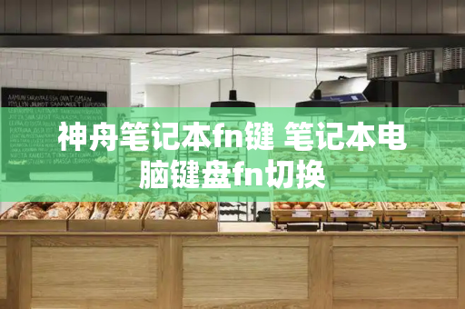 神舟笔记本fn键 笔记本电脑键盘fn切换