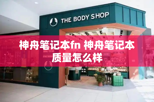 神舟笔记本fn 神舟笔记本质量怎么样-第1张图片-星选测评