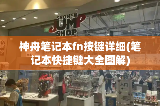 神舟笔记本fn按键详细(笔记本快捷键大全图解)-第1张图片-星选测评