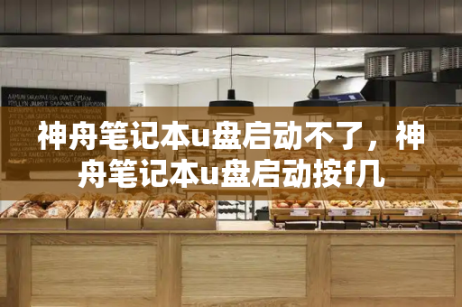 神舟笔记本u盘启动不了，神舟笔记本u盘启动按f几