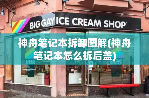 神舟笔记本拆卸图解(神舟笔记本怎么拆后盖)-第1张图片-星选测评