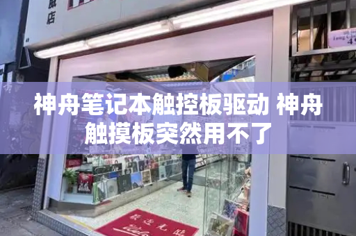 神舟笔记本触控板驱动 神舟触摸板突然用不了