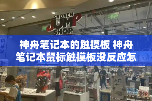 神舟笔记本的触摸板 神舟笔记本鼠标触摸板没反应怎么办