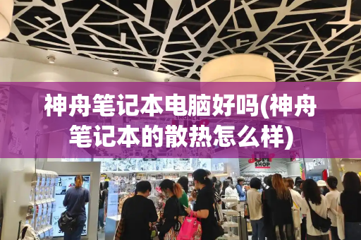 神舟笔记本电脑好吗(神舟笔记本的散热怎么样)-第1张图片-星选测评