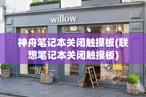 神舟笔记本关闭触摸板(联想笔记本关闭触摸板)-第1张图片-星选测评