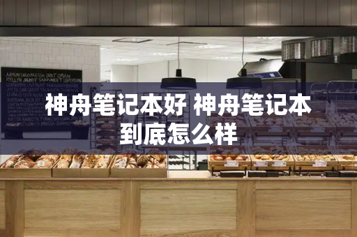 神舟笔记本好 神舟笔记本到底怎么样-第1张图片-星选测评
