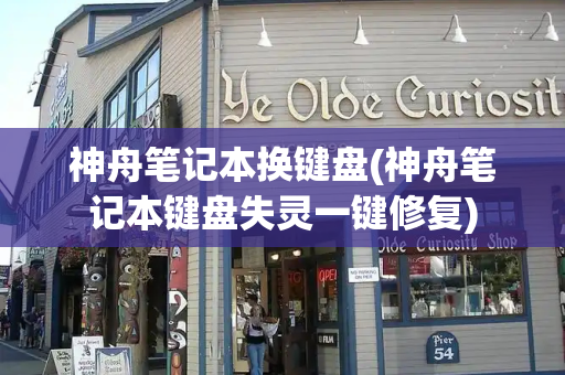 神舟笔记本换键盘(神舟笔记本键盘失灵一键修复)-第1张图片-星选测评