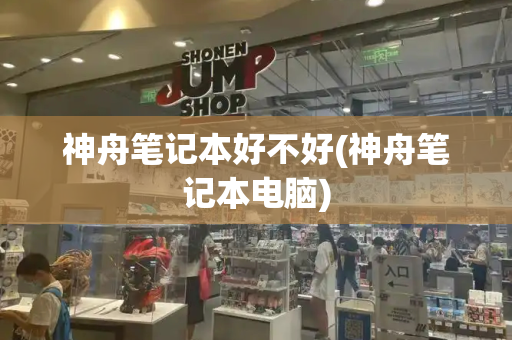 神舟笔记本好不好(神舟笔记本电脑)