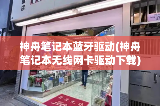 神舟笔记本蓝牙驱动(神舟笔记本无线网卡驱动下载)-第1张图片-星选测评