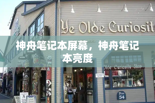 神舟笔记本屏幕，神舟笔记本亮度