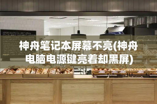 神舟笔记本屏幕不亮(神舟电脑电源键亮着却黑屏)