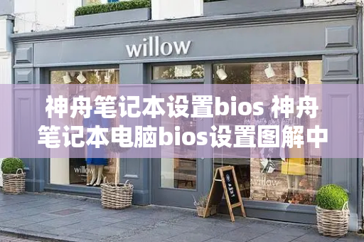 神舟笔记本设置bios 神舟笔记本电脑bios设置图解中文