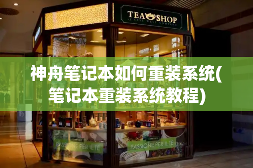 神舟笔记本如何重装系统(笔记本重装系统教程)-第1张图片-星选测评
