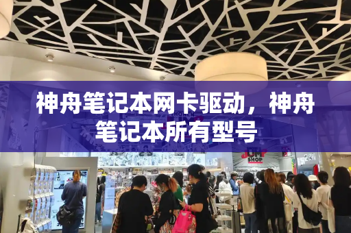 神舟笔记本网卡驱动，神舟笔记本所有型号