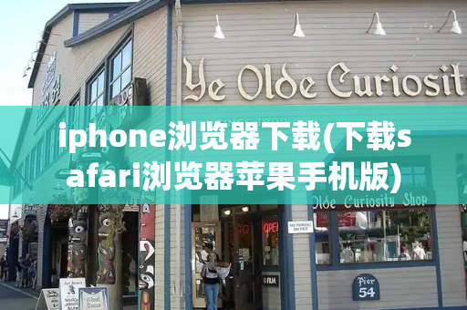 iphone浏览器下载(下载safari浏览器苹果手机版)-第1张图片-星选测评