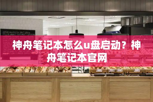 神舟笔记本怎么u盘启动？神舟笔记本官网
