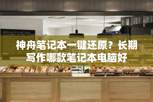 神舟笔记本一键还原？长期写作哪款笔记本电脑好-第1张图片-星选测评