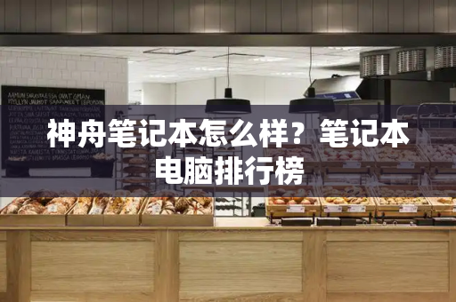 神舟笔记本怎么样？笔记本电脑排行榜-第1张图片-星选测评