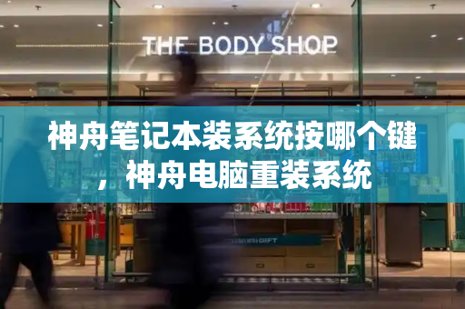 神舟笔记本装系统按哪个键，神舟电脑重装系统-第1张图片-星选测评