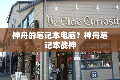 神舟的笔记本电脑？神舟笔记本战神-第1张图片-星选测评