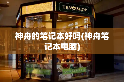神舟的笔记本好吗(神舟笔记本电脑)