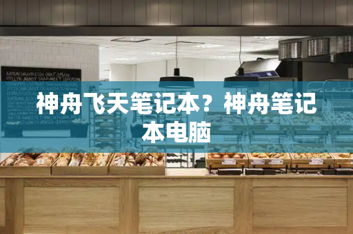 神舟飞天笔记本？神舟笔记本电脑