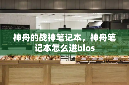 神舟的战神笔记本，神舟笔记本怎么进bios