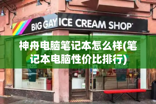 神舟电脑笔记本怎么样(笔记本电脑性价比排行)-第1张图片-星选测评