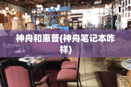 神舟和惠普(神舟笔记本咋样)