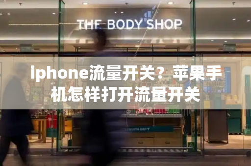 iphone流量开关？苹果手机怎样打开流量开关