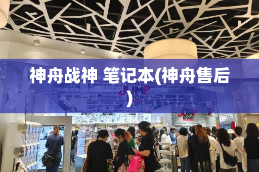 神舟战神 笔记本(神舟售后)