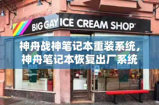 神舟战神笔记本重装系统，神舟笔记本恢复出厂系统-第1张图片-星选测评