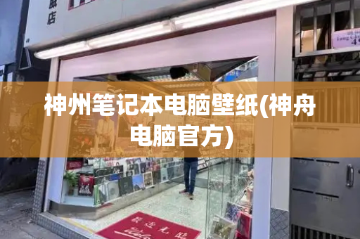 神州笔记本电脑壁纸(神舟电脑官方)
