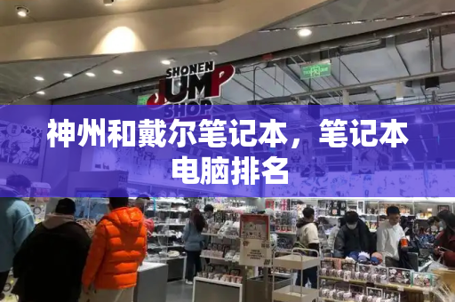 神州和戴尔笔记本，笔记本电脑排名