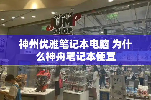 神州优雅笔记本电脑 为什么神舟笔记本便宜