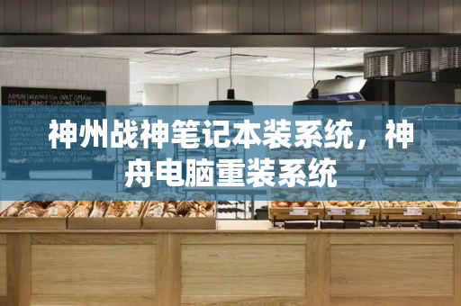 神州战神笔记本装系统，神舟电脑重装系统