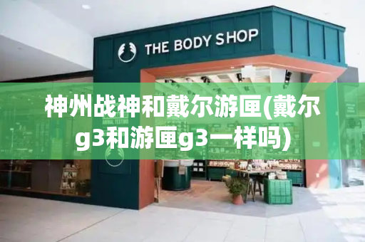 神州战神和戴尔游匣(戴尔g3和游匣g3一样吗)
