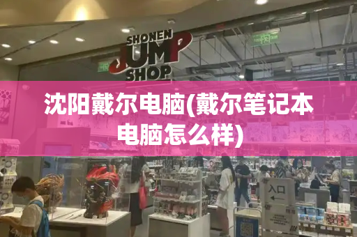 沈阳戴尔电脑(戴尔笔记本电脑怎么样)-第1张图片-星选测评