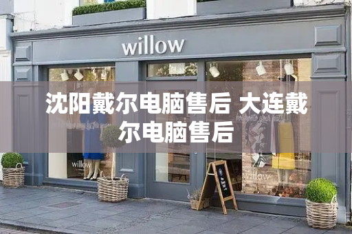 沈阳戴尔电脑售后 大连戴尔电脑售后-第1张图片-星选测评