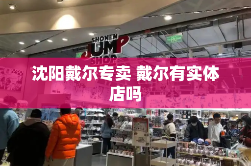 沈阳戴尔专卖 戴尔有实体店吗-第1张图片-星选测评