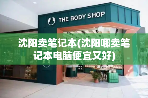 沈阳卖笔记本(沈阳哪卖笔记本电脑便宜又好)-第1张图片-星选测评