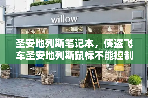 圣安地列斯笔记本，侠盗飞车圣安地列斯鼠标不能控制-第1张图片-星选测评