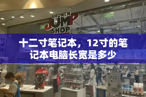 十二寸笔记本，12寸的笔记本电脑长宽是多少-第1张图片-星选测评