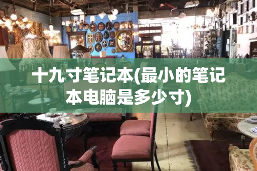 十九寸笔记本(最小的笔记本电脑是多少寸)