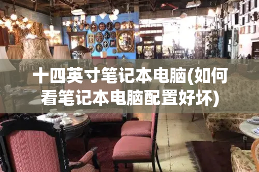 十四英寸笔记本电脑(如何看笔记本电脑配置好坏)-第1张图片-星选测评