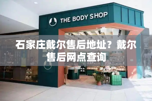 石家庄戴尔售后地址？戴尔售后网点查询-第1张图片-星选测评