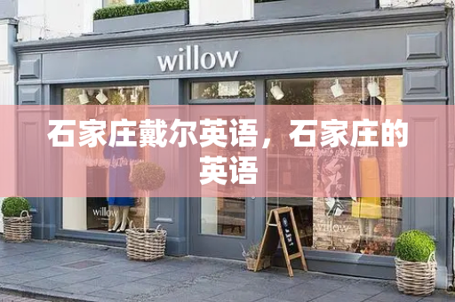 石家庄戴尔英语，石家庄的英语-第1张图片-星选测评