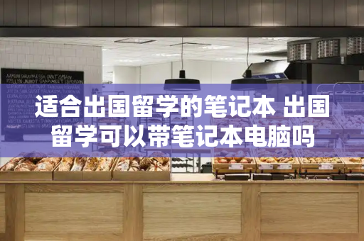 适合出国留学的笔记本 出国留学可以带笔记本电脑吗-第1张图片-星选测评